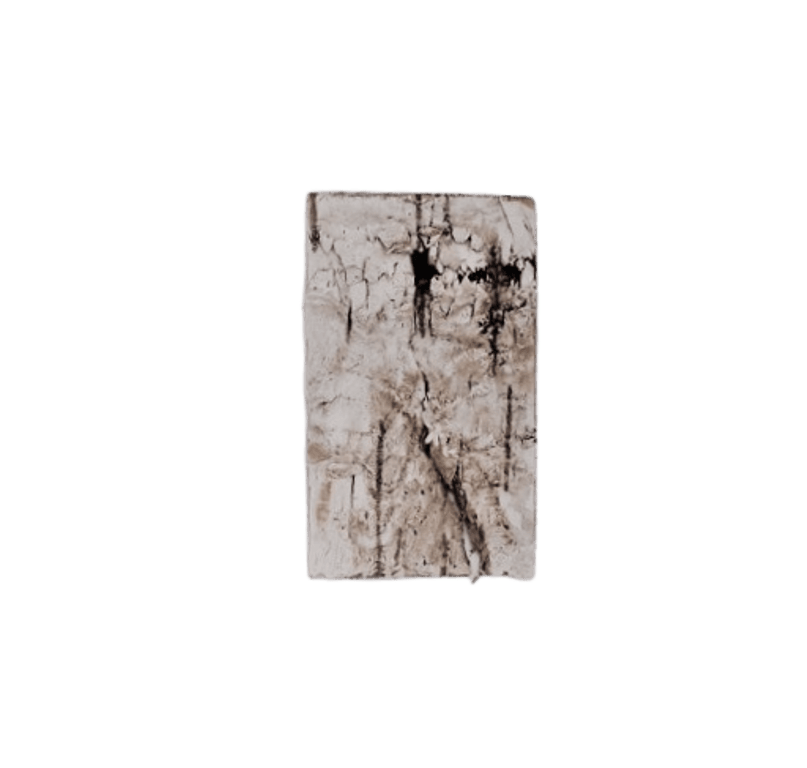Birkenart - Birkenplättchen 30 x 50 mm Birkenart - Birkenplättchen 30 x 50 mm