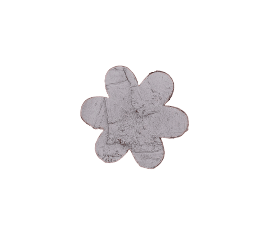Birkenart - Birkenblüten 45 mm