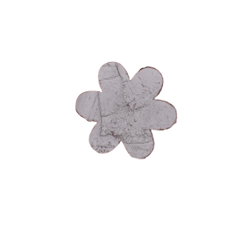 Birkenart - Birkenblüten 45 mm Birkenart - Birkenblüten 45 mm