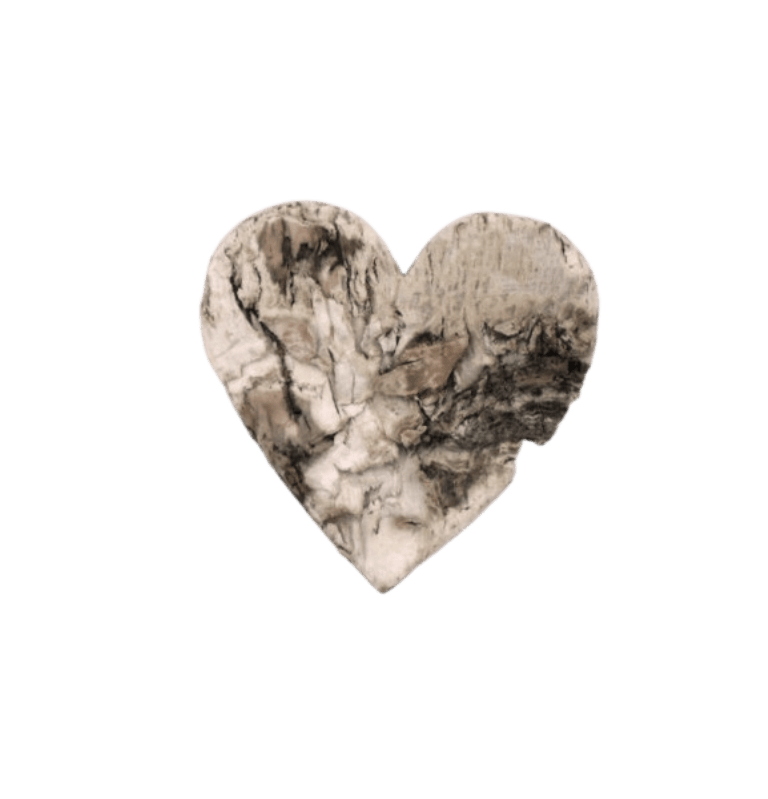 Birkenart - Birkenherz bauchig 45 x 45 mm Birkenart - Birkenherz bauchig 45 x 45 mm