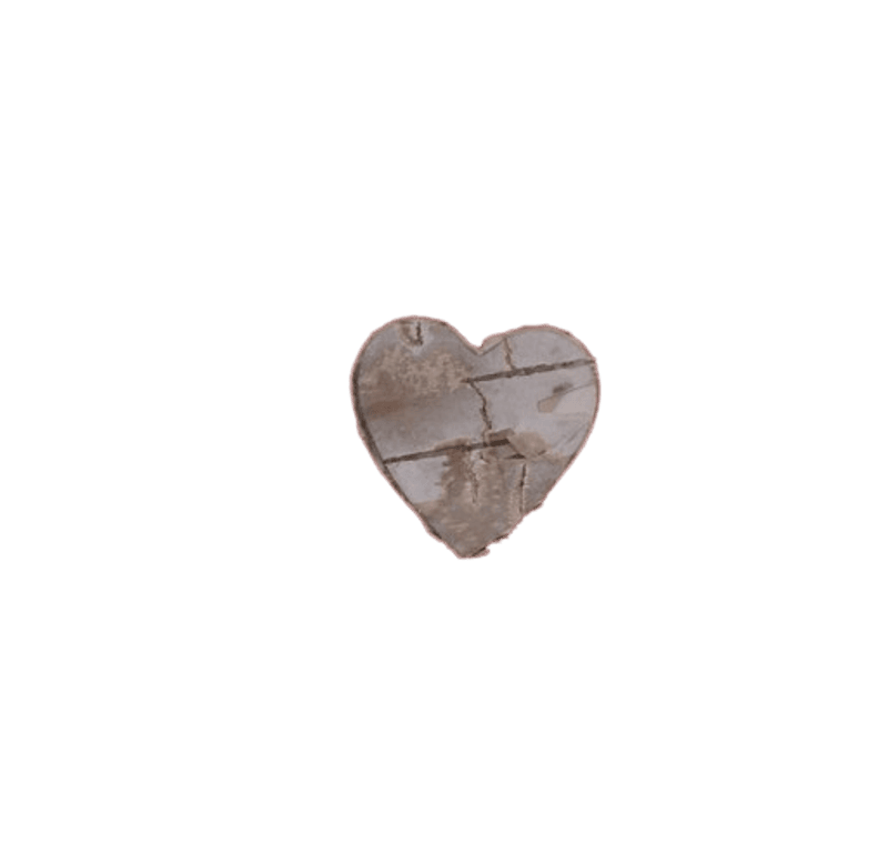 Birkenart - Birkenherz Gerade gerade 25 x 25 mm Birkenart - Birkenherz Gerade gerade 25 x 25 mm
