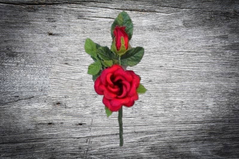 Hochzeitsanstecker / Büscherl: "Rosenzweig x 2 in rot" Hochzeitsanstecker / Büscherl: "Rosenzweig x 2 in rot". Jetzt in unserem Geschenke Onlineshop kaufen.