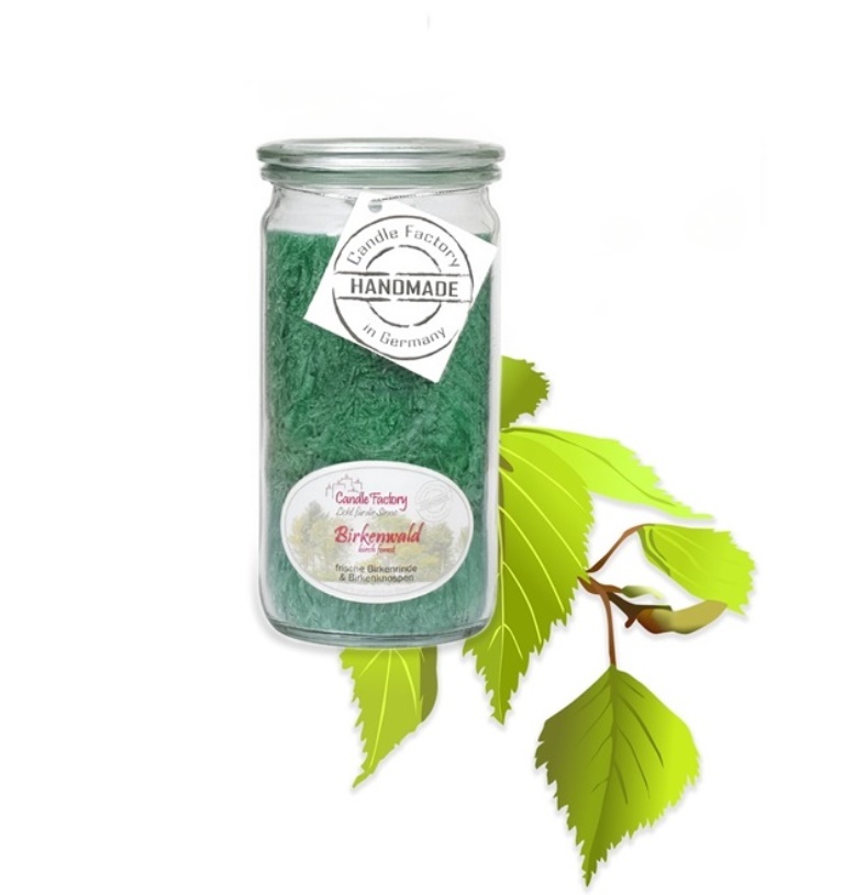 Birkenwald - Mini Jumbo hochwertige Duftkerze im Glas