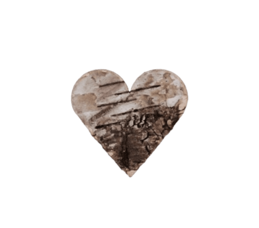Birkenart - Birkenherz gerade 40 x 40 mm Birkenart - Birkenherz gerade 40 x 40 mm