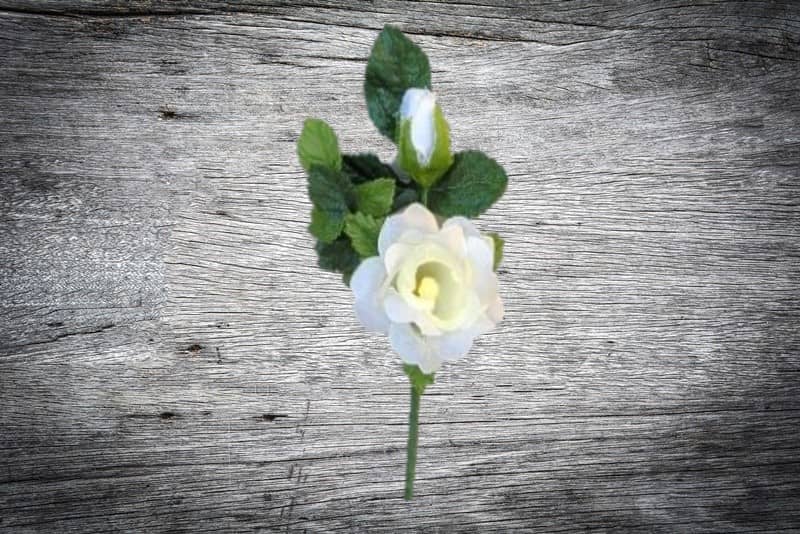 Hochzeitsanstecker / Büscherl: "Rosenzweig x 2 in creme" Hochzeitsanstecker / Büscherl: "Rosenzweig x 2 in creme". Jetzt in unserem Geschenke Onlineshop kaufen.